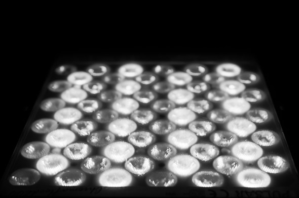 B&W_Details_0350